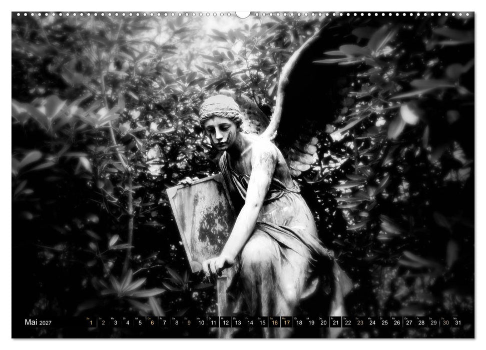 Engel-Träume (CALVENDO Premium Wandkalender 2027)
