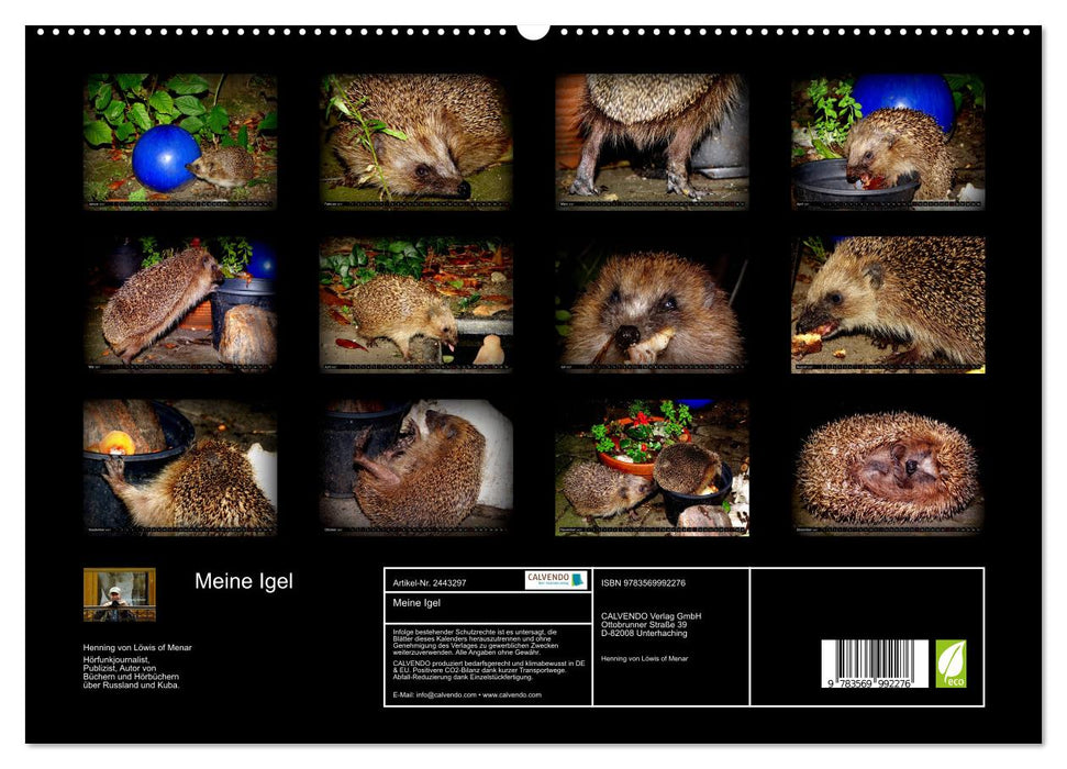 Meine Igel (CALVENDO Premium Wandkalender 2027)