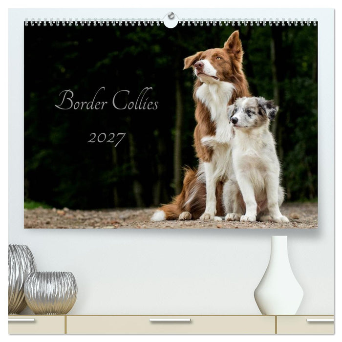Border Collies 2027 (CALVENDO Premium Wandkalender 2027)