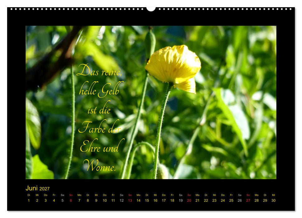 Goethes Gelb Gedanken zur Farbe (CALVENDO Premium Wandkalender 2027)