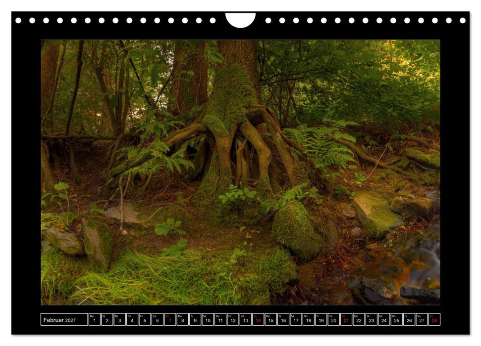 Annaberg im Erzgebirge (CALVENDO Wandkalender 2027)