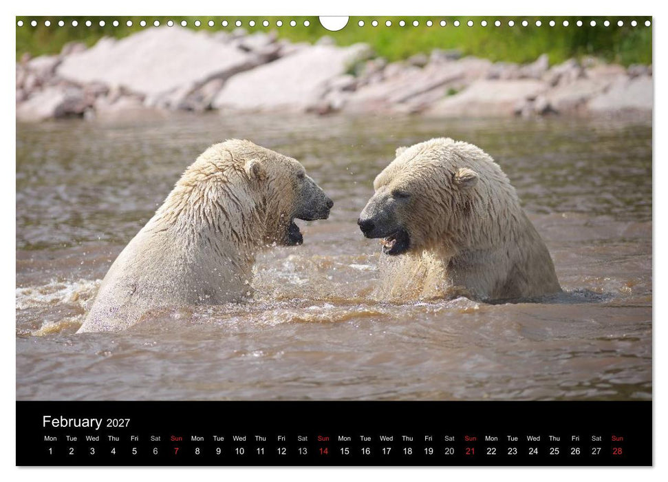 POLAR BEARS - ARCTIC LEGENDS (CALVENDO Monthly Calendar 2027)