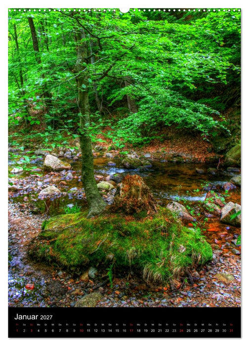 Typisch Harz (CALVENDO Premium Wandkalender 2027)