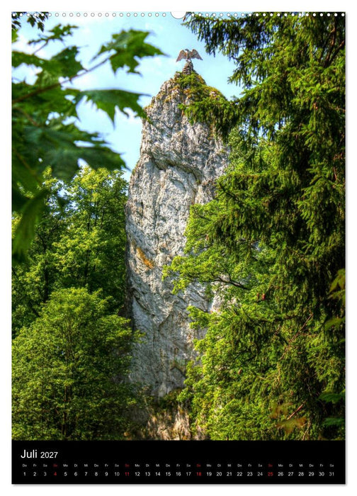 Typisch Harz (CALVENDO Premium Wandkalender 2027)