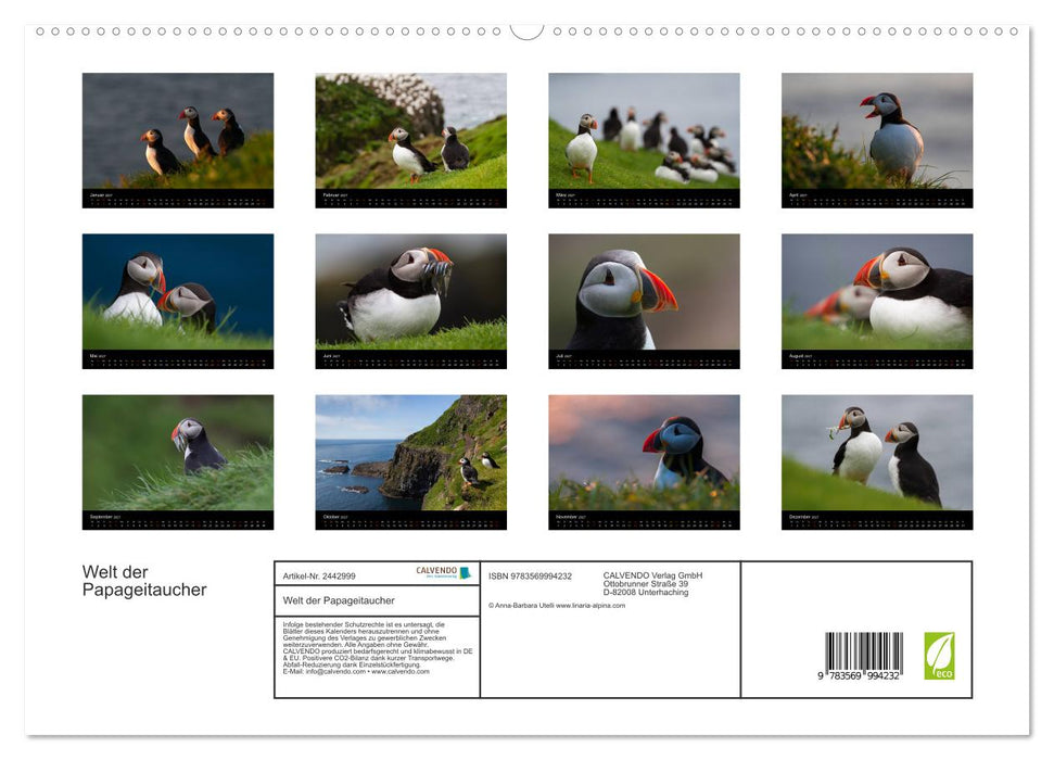 Welt der Papageitaucher (CALVENDO Premium Wandkalender 2027)