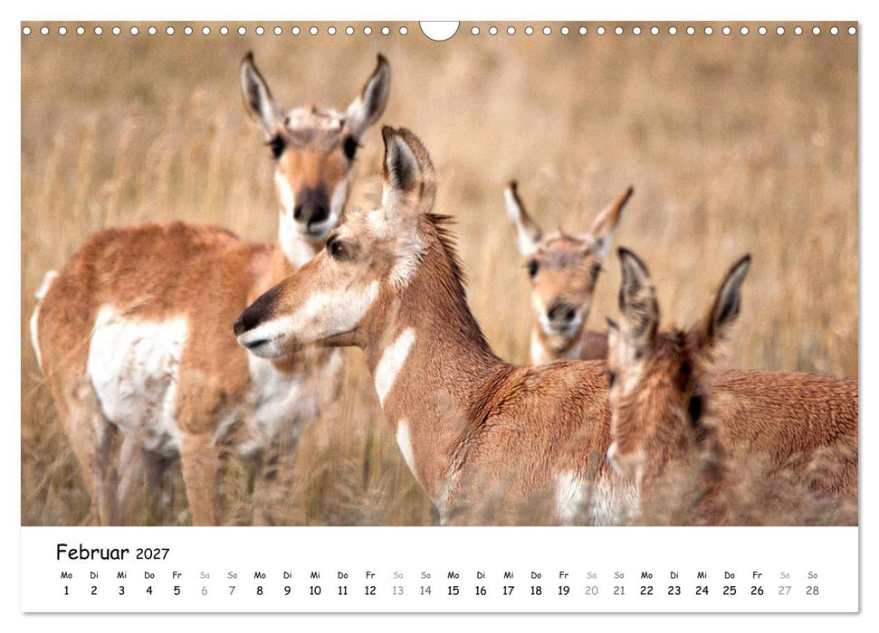 Amerika - Naturschönheiten des Westens (CALVENDO Wandkalender 2027)