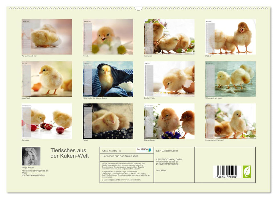 Tierisches aus der Küken-Welt (CALVENDO Premium Wandkalender 2027)