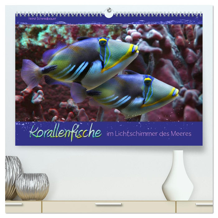 Korallenfische im Lichtschimmer des Meeres (CALVENDO Premium Wandkalender 2027)