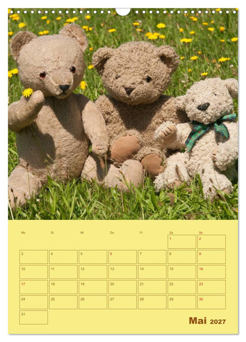 Bärenstarker Planer für das Jahr – Teddys (CALVENDO Wandkalender 2027)