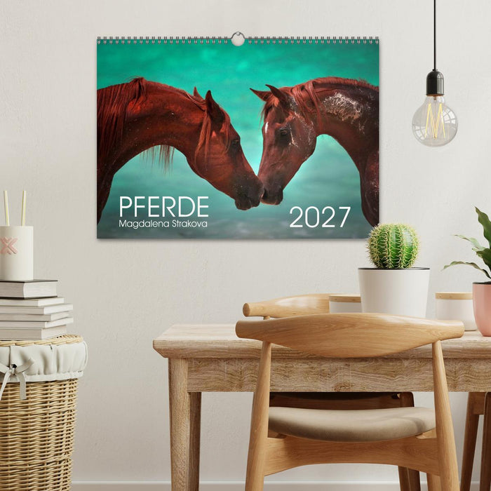 Pferde - Magdalena Strakova (CALVENDO Wandkalender 2027)