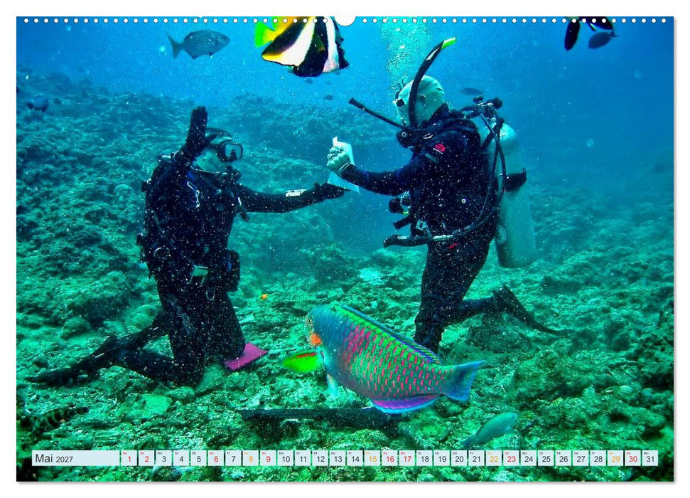 Tauchen - Abenteuer unter Wasser (CALVENDO Wandkalender 2027)