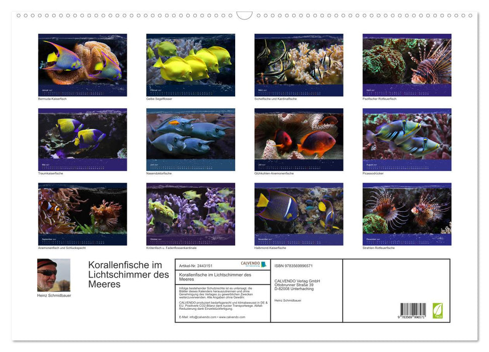 Korallenfische im Lichtschimmer des Meeres (CALVENDO Wandkalender 2027)