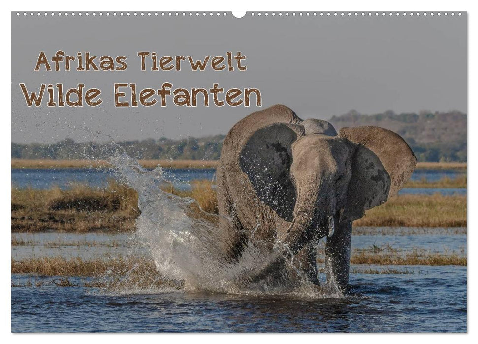 Afrikas Tierwelt - Wilde Elefanten (CALVENDO Wandkalender 2027)