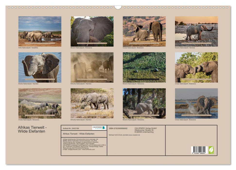 Afrikas Tierwelt - Wilde Elefanten (CALVENDO Wandkalender 2027)