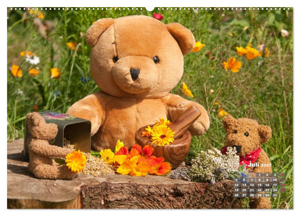 Geliebte Bären - Teddys (CALVENDO Premium Wandkalender 2027)