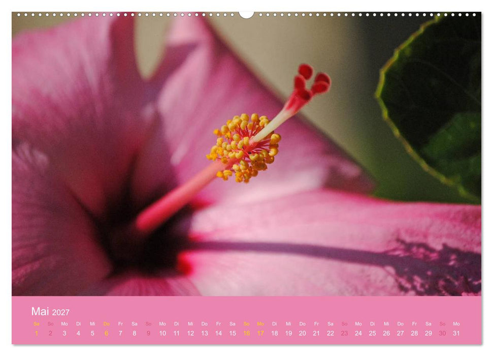 Hawaii Paradies auf Erden (CALVENDO Premium Wandkalender 2027)