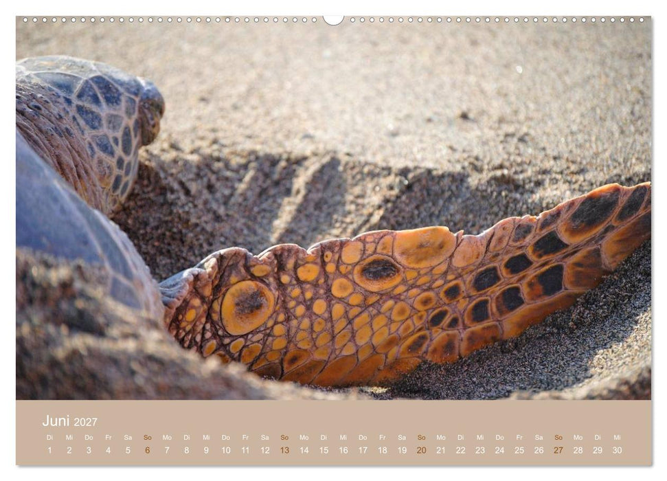 Hawaii Paradies auf Erden (CALVENDO Premium Wandkalender 2027)