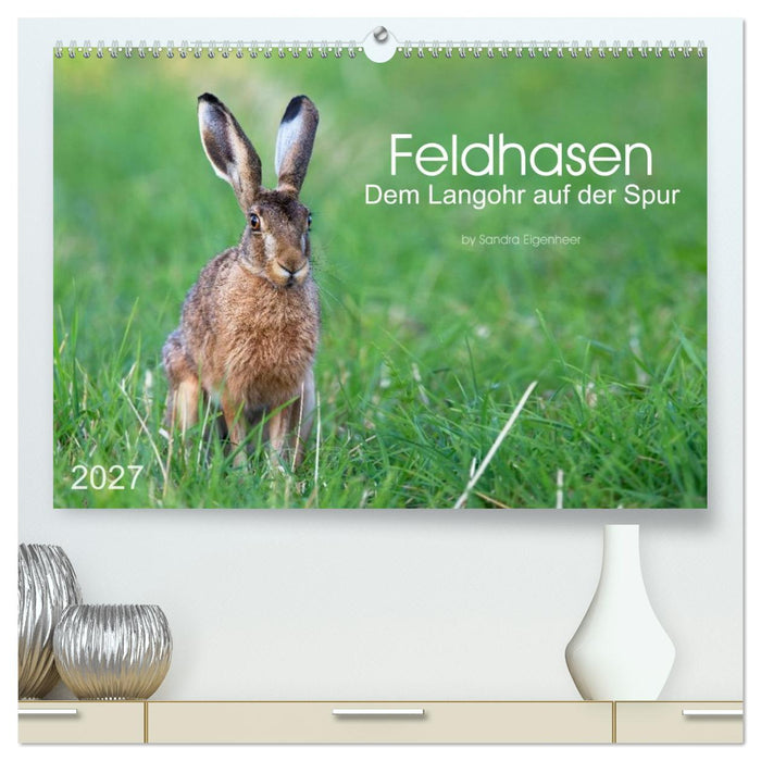 Feldhasen - dem Langohr auf der Spur (CALVENDO Premium Wandkalender 2027)