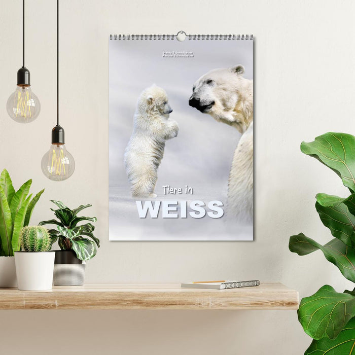 Tiere in Weiß (CALVENDO Wandkalender 2027)