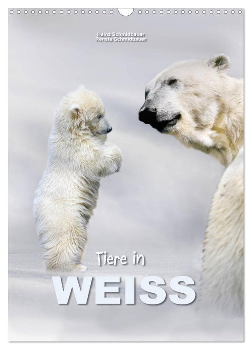Tiere in Weiß (CALVENDO Wandkalender 2027)