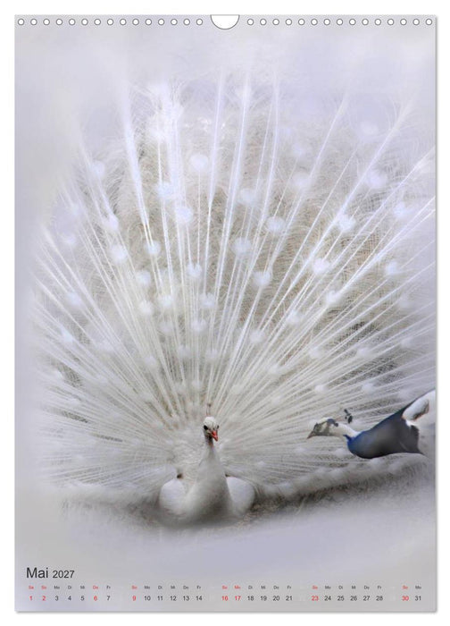 Tiere in Weiß (CALVENDO Wandkalender 2027)