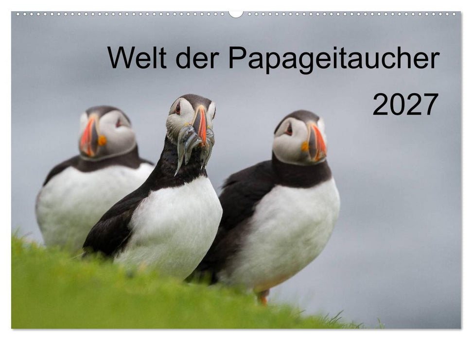 Welt der Papageitaucher (CALVENDO Wandkalender 2027)