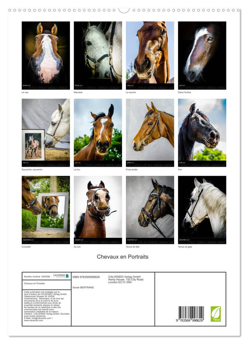 Chevaux en Portraits (CALVENDO Calendrier supérieur 2027)