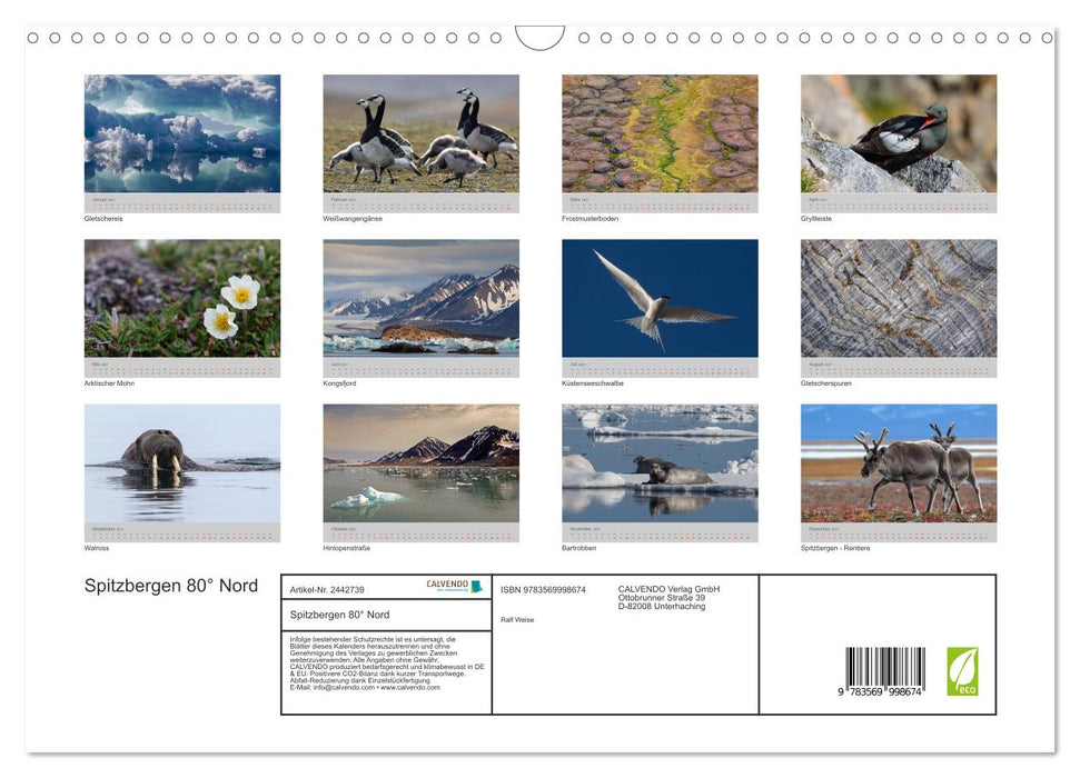 Spitzbergen 80° Nord (CALVENDO Wandkalender 2027)