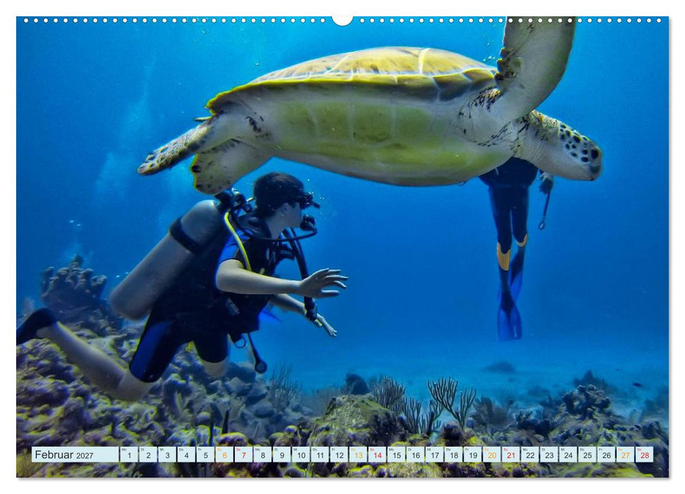 Tauchen - Abenteuer unter Wasser (CALVENDO Premium Wandkalender 2027)