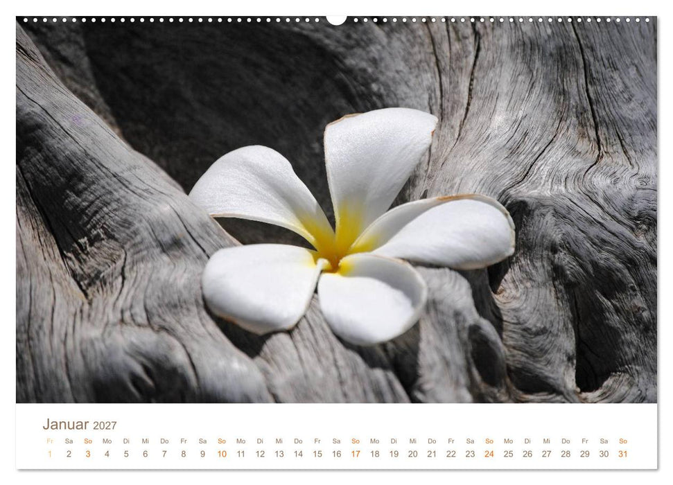 Hawaii Paradies auf Erden (CALVENDO Wandkalender 2027)
