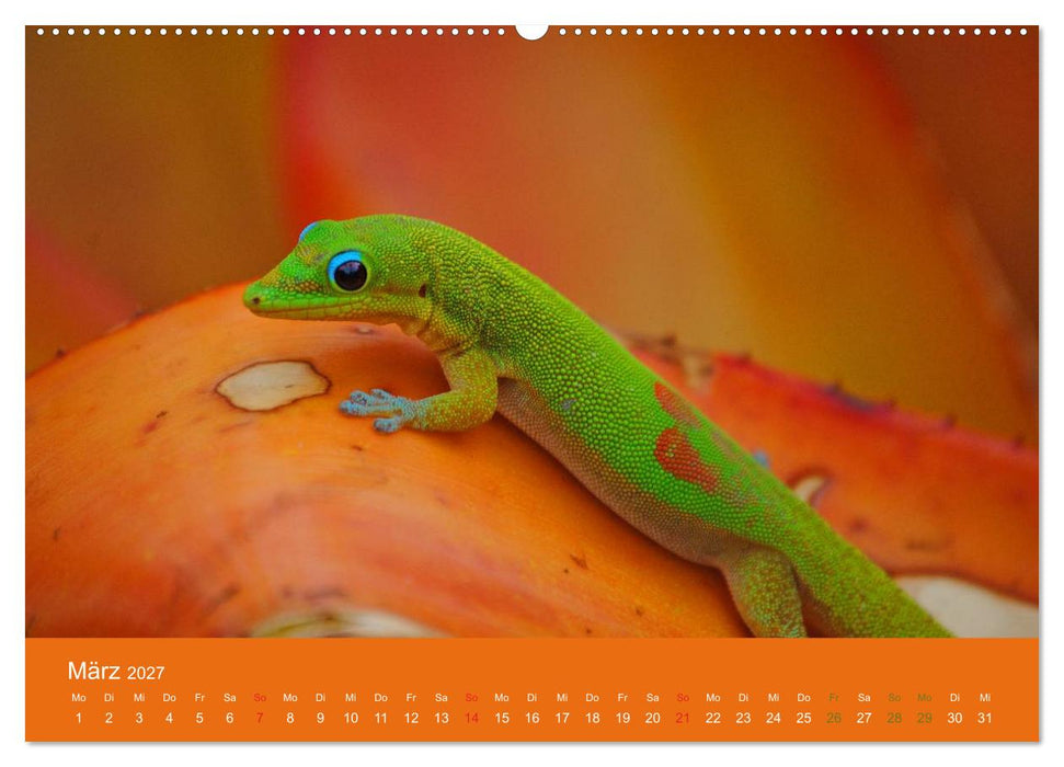 Hawaii Paradies auf Erden (CALVENDO Wandkalender 2027)