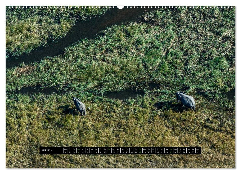 Afrikas Tierwelt - Wilde Elefanten (CALVENDO Premium Wandkalender 2027)