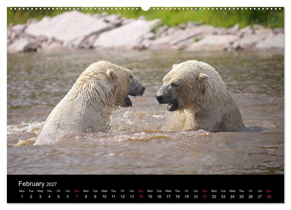 POLAR BEARS - ARCTIC LEGENDS (CALVENDO Premium-Calendar 2027)