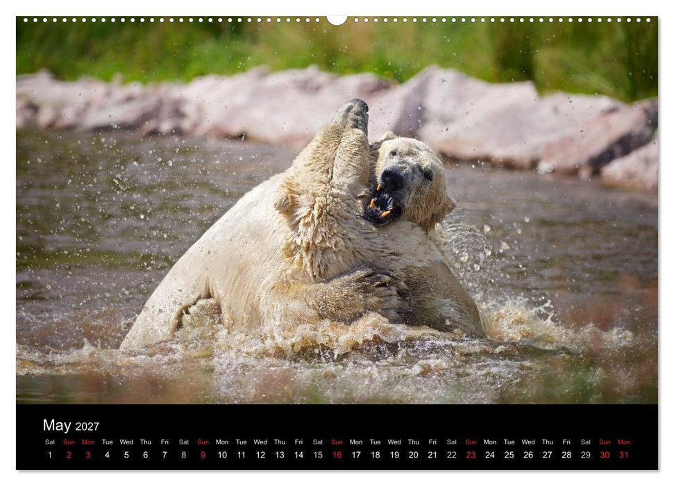 POLAR BEARS - ARCTIC LEGENDS (CALVENDO Premium-Calendar 2027)