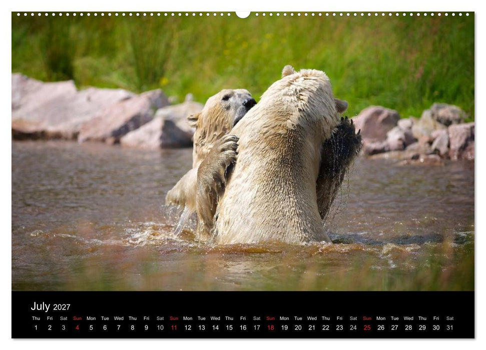 POLAR BEARS - ARCTIC LEGENDS (CALVENDO Premium-Calendar 2027)