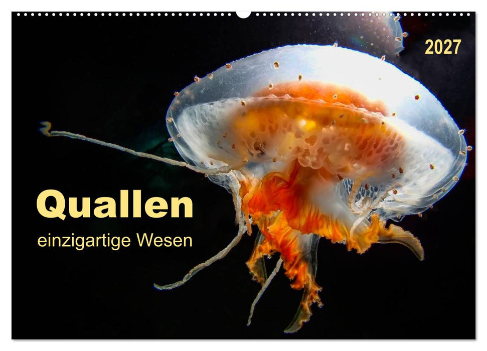 Quallen - einzigartige Wesen (CALVENDO Wandkalender 2027)