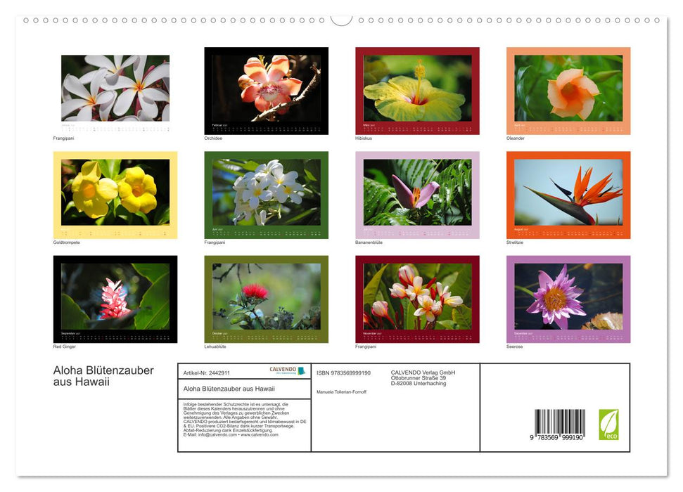 Aloha Blütenzauber aus Hawaii (CALVENDO Premium Wandkalender 2027)