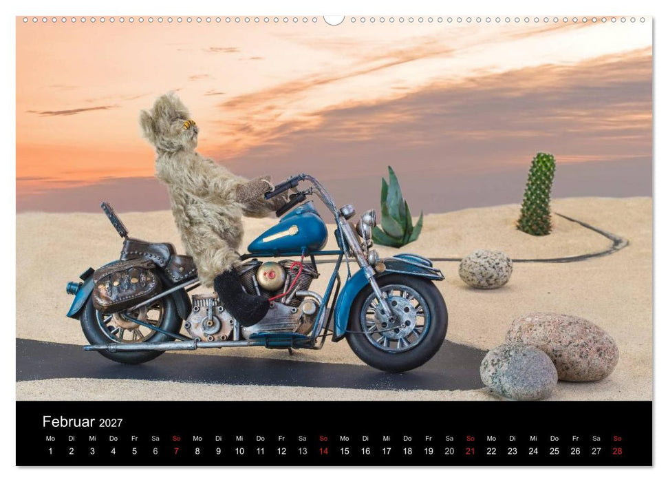 Martin Bären (CALVENDO Premium Wandkalender 2027)