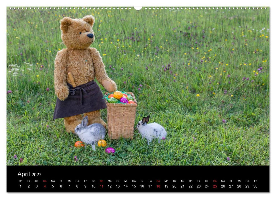 Martin Bären (CALVENDO Premium Wandkalender 2027)