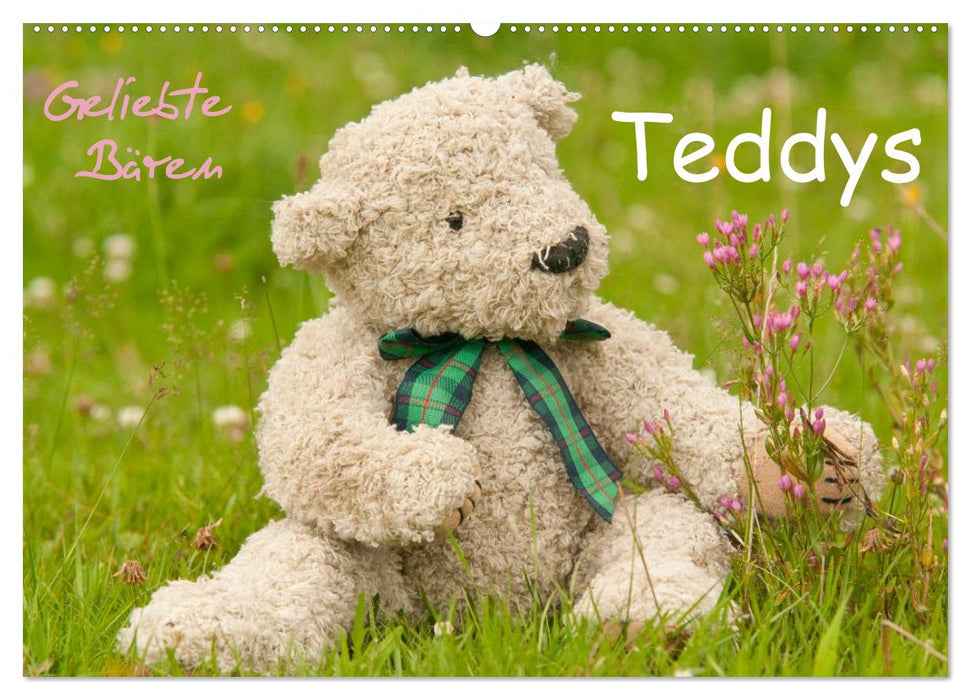 Geliebte Bären - Teddys (CALVENDO Wandkalender 2027)