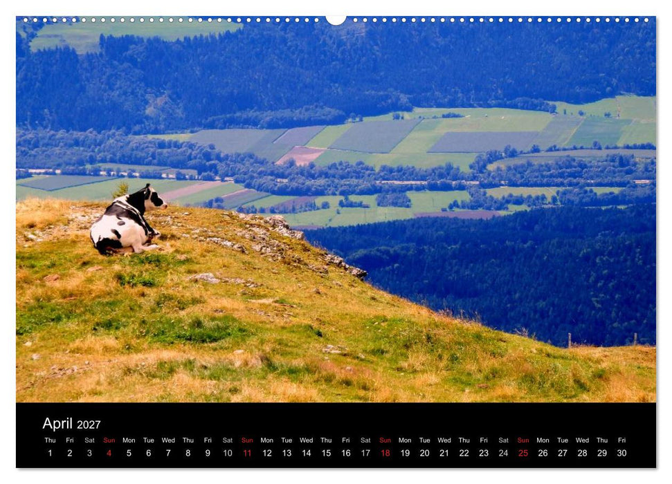 Austrian Summer (CALVENDO Premium-Calendar 2027)