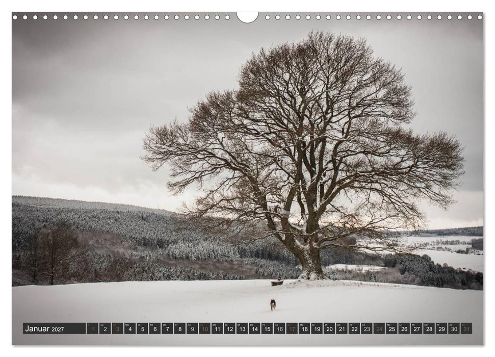 Unterwegs im Hunsrück (CALVENDO Wandkalender 2027)