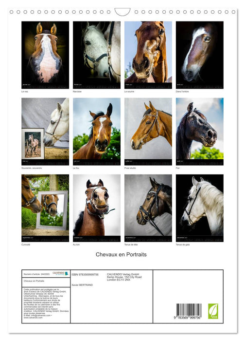Chevaux en Portraits (CALVENDO Calendrier mensuel 2027)