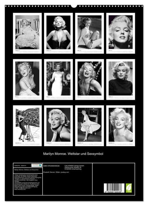 Marilyn Monroe. Weltstar und Sexsymbol (CALVENDO Premium Wandkalender 2027)