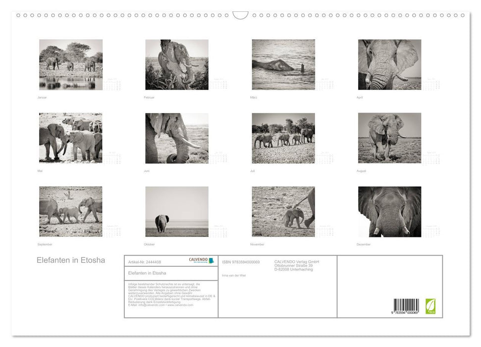 Elefanten in Etosha (CALVENDO Wandkalender 2027)