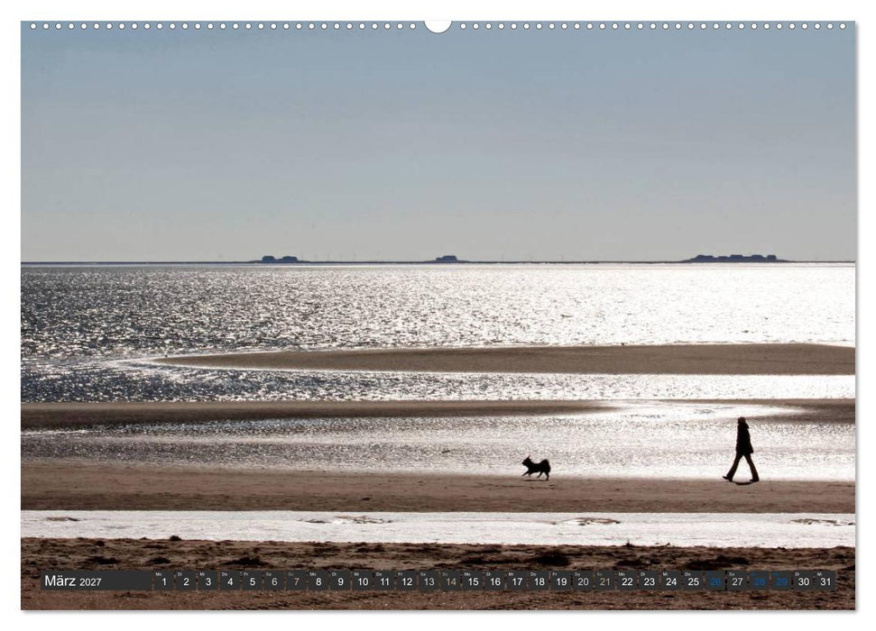 Föhr und Amrum - Spaziergänge am Meer (CALVENDO Wandkalender 2027)