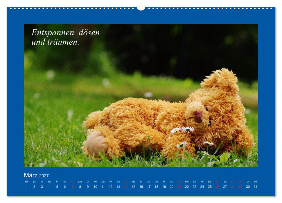 Sommer im Teddy-Land. Bär und Freunde (CALVENDO Premium Wandkalender 2027)