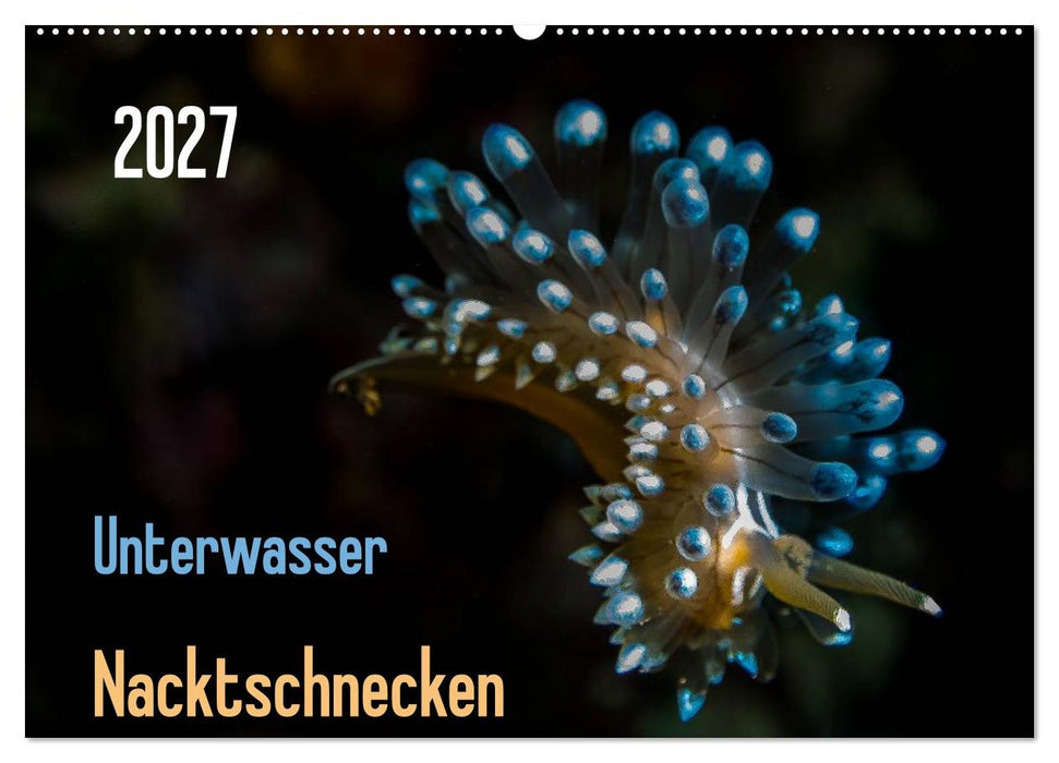 Unterwasser - Nacktschnecken 2027 (CALVENDO Wandkalender 2027)