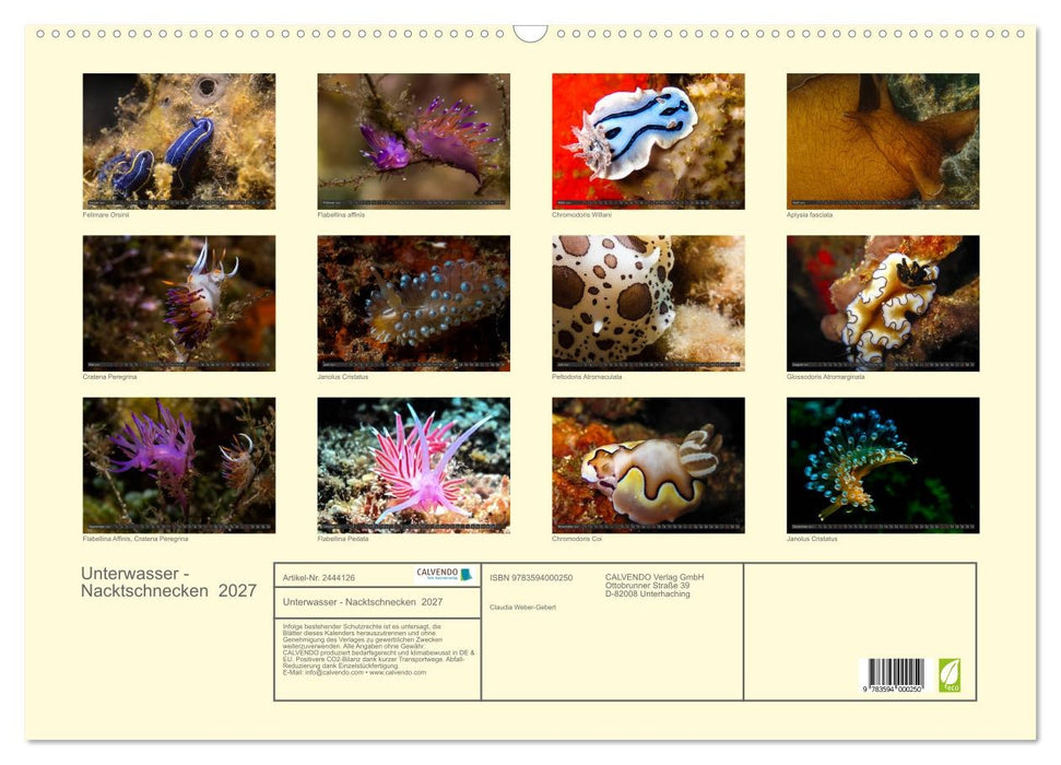 Unterwasser - Nacktschnecken 2027 (CALVENDO Wandkalender 2027)