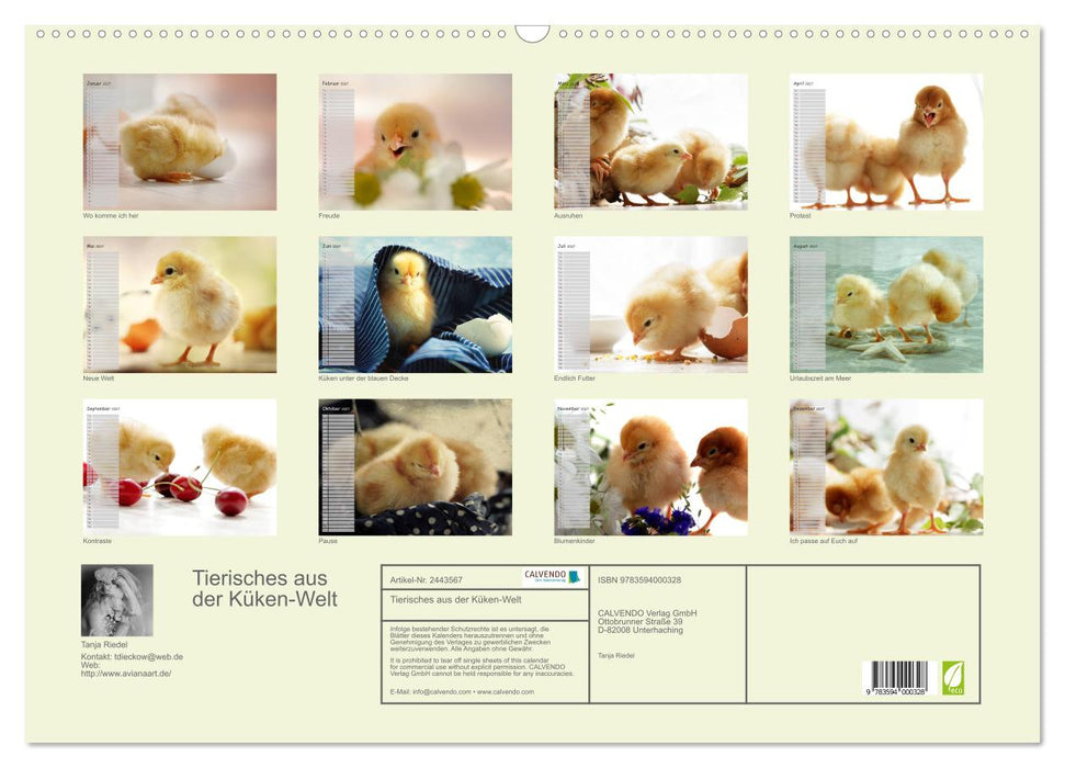 Tierisches aus der Küken-Welt (CALVENDO Wandkalender 2027)